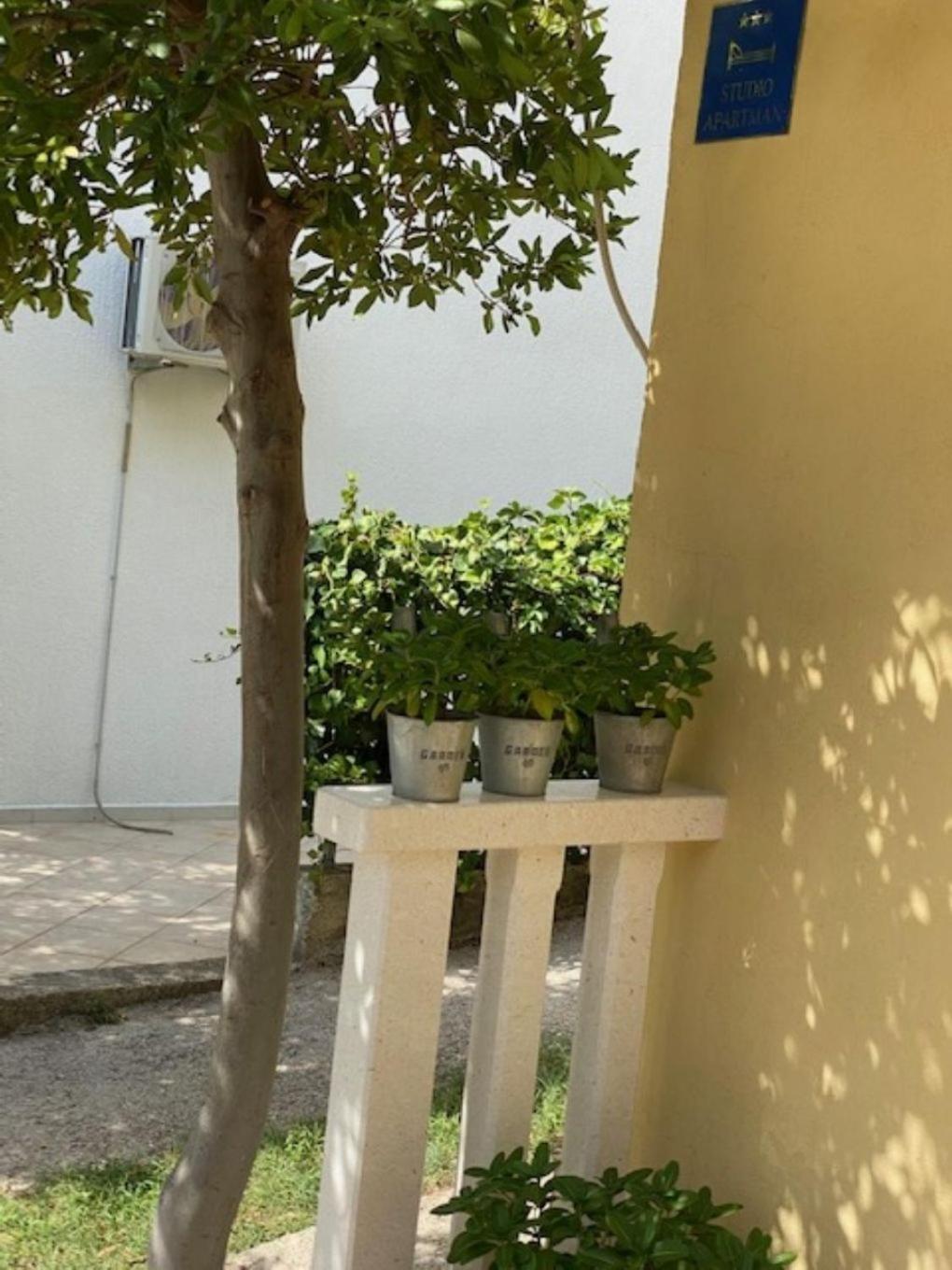 Apartment Toni Baška Voda Zewnętrze zdjęcie